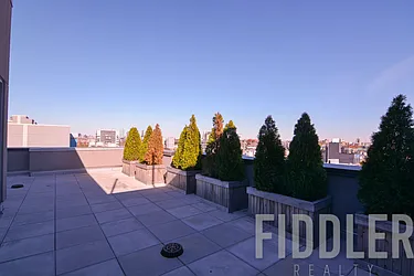 Rented by Fiddler Realty