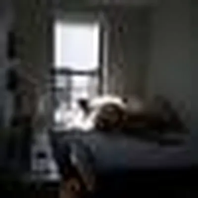 Rented by Standard Realty | media 27