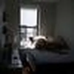 Rented by Standard Realty