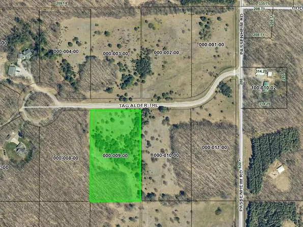 LOT 9 Tag Alder Trl, Gaylord, MI 49735
