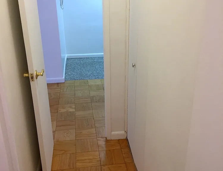 330 E 46th St #11A — Photo 5