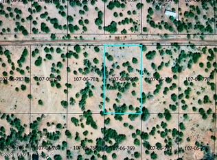 80 & 82 County Road 8113, Concho, AZ 85924
