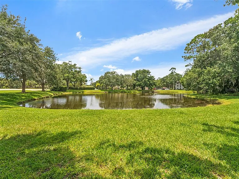 3350 Dunemoor Ct — Photo 32