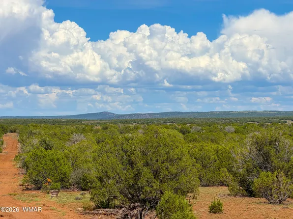 0 Gample Ln Lot C, Show Low, AZ 85901