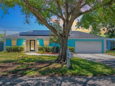 4709 W Price Ave, Tampa, FL, 33611