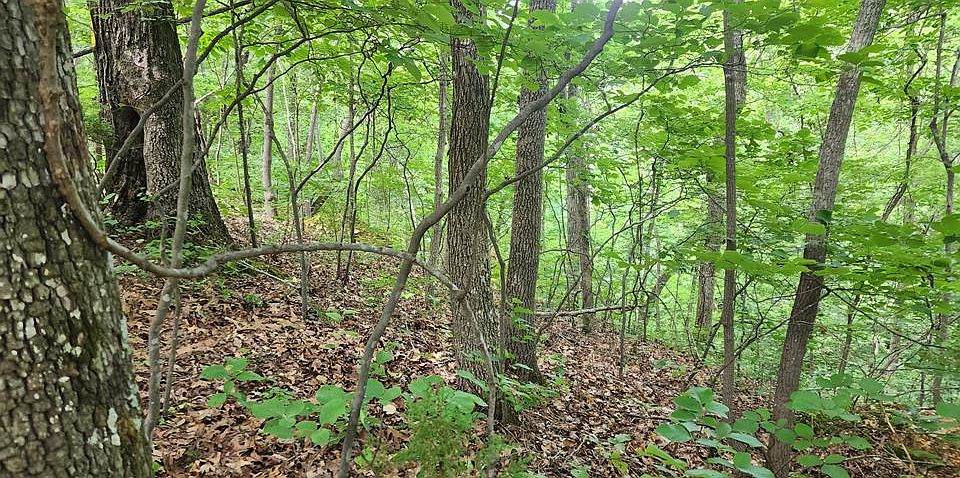 1st image of Id22 Lakeview Trl