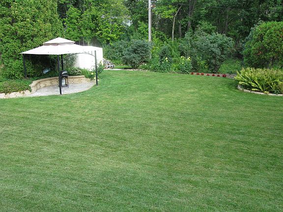 Back yard
