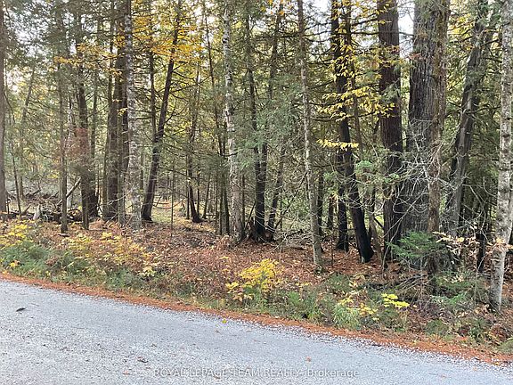5th image of 939 Darling Rd