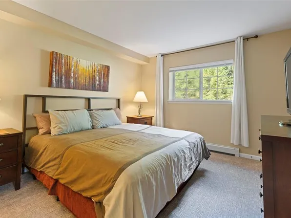 233 Pelican Cir Unit 1503, Breckenridge, CO 80424