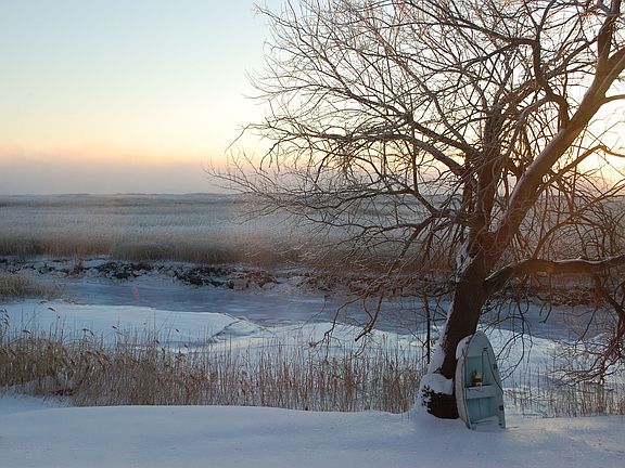 Winter view of the fog covered river