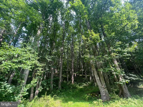 Free State Rd, Marshall, VA 20115