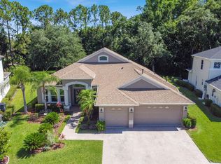 10543 Canary Isle Dr, Tampa, FL 33647