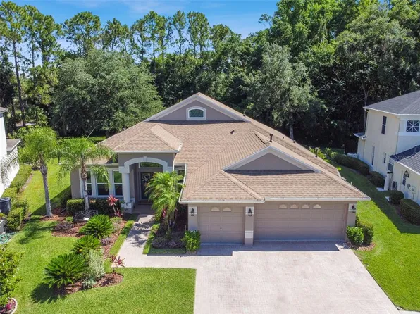 10543 Canary Isle Dr, Tampa, FL 33647