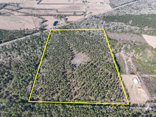 5 Louisville Rd, Groveton, TX 75845