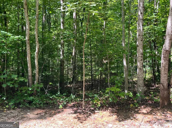 7 Forest Canopy Way, Clayton, GA 30525
