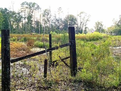 1A Shady Oaks Ln, Prairieville, LA, 70769