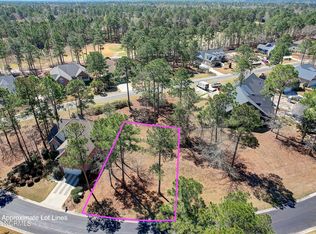 387 Blossom Tree Ln SE #33, Bolivia, NC 28422
