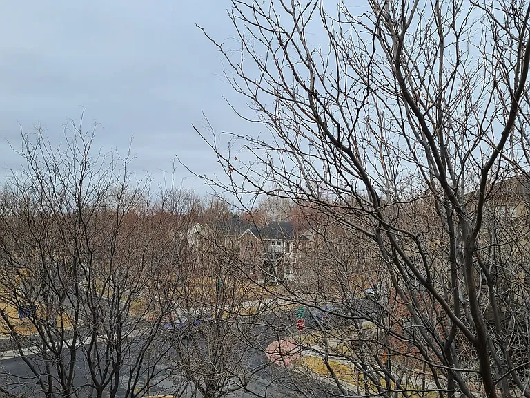 180 Poplar St #L — Photo 3