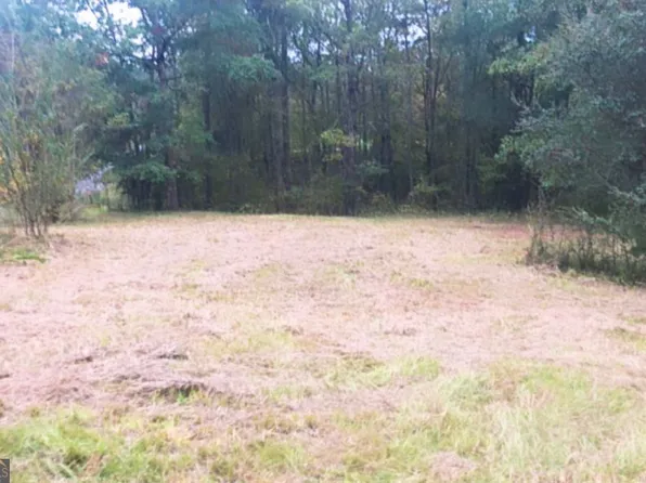 1320 Caboose Ct, Greensboro, GA 30642