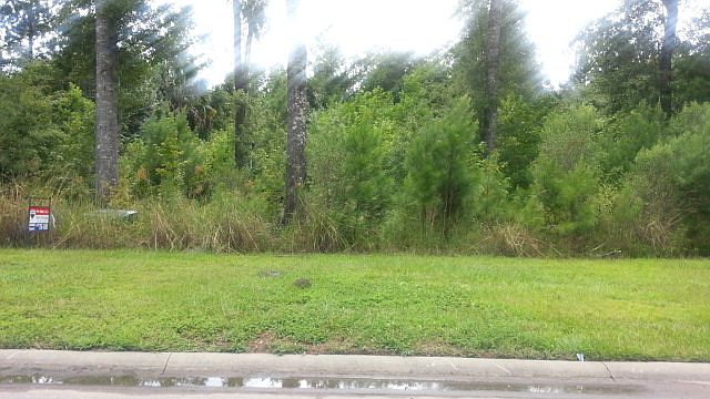 Additional View