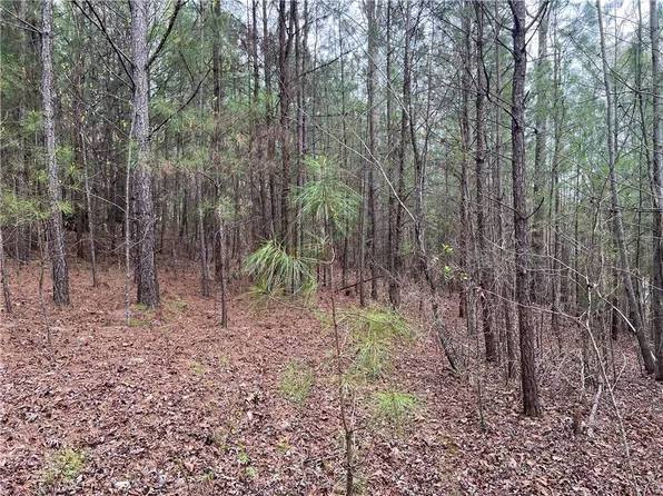 505 Reo Rd, Rocky Face, GA 30740