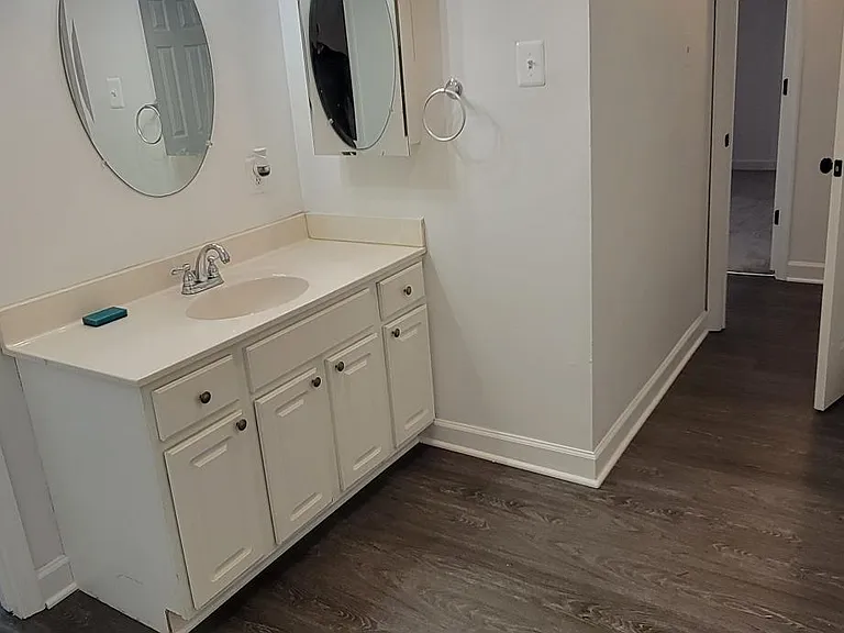 Master bathroom (dressing area and vanity)