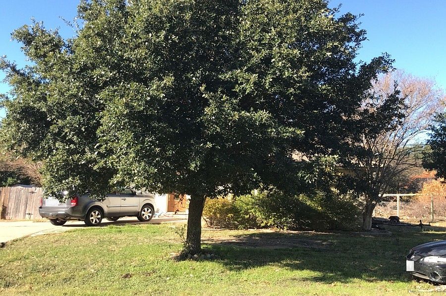 1st image of 1811 Emerald Isle Dr