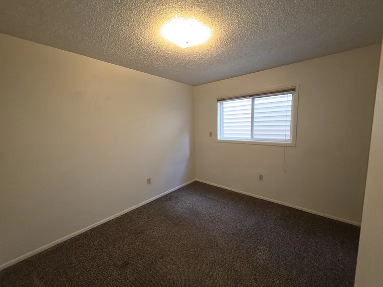 1007 Downey St #D — Photo 9