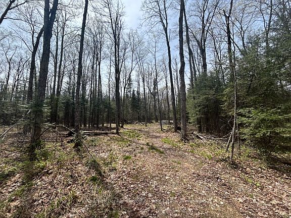 3rd image of 0 Ely Side Rd