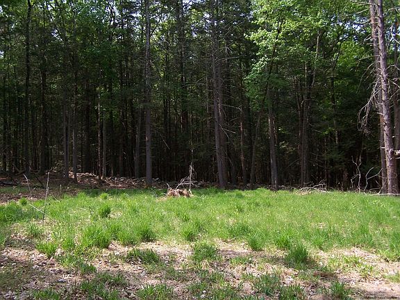 4th image of Lot 2 White Pine