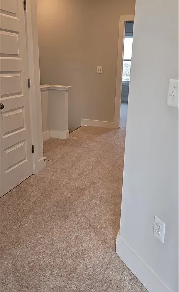 10123 Blue Wing Ln — Photo 24