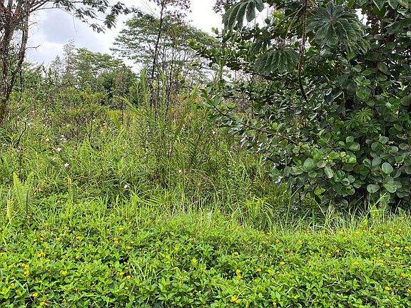 3rd image of 17th Avenue Lokelani Lot 610