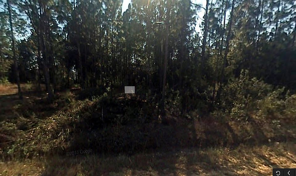 2nd image of 6146 Pippin Rd