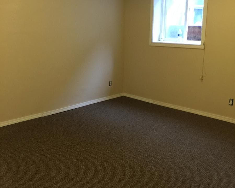 2nd bedroom in basement. New carpet and newly painted
