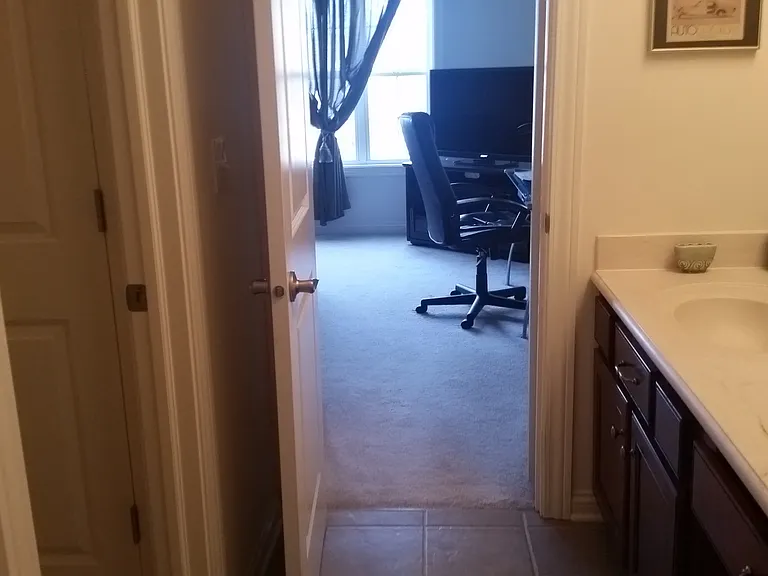 3356 Paisley Pointe — Photo 1