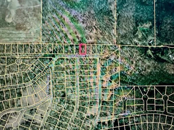 2414 Peaceful Hollow Drive, Horseshoe Bend, AR 72512