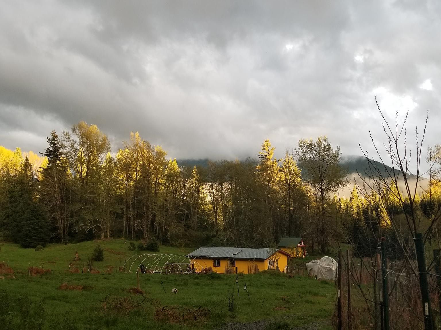 33112 Mount Tahoma Canyon Rd E, Ashford, WA 98304 Zillow