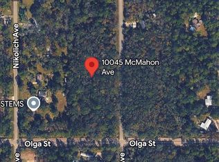 10045 McMahon Ave, Hastings, FL 32145
