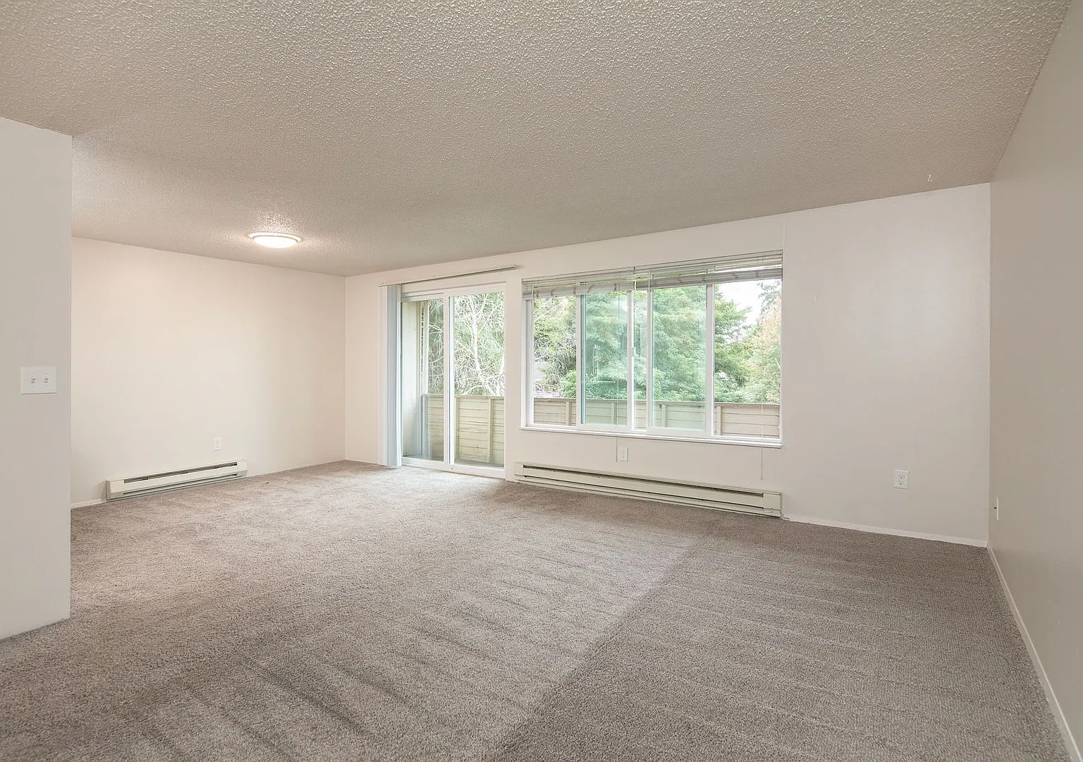 Cortina Apartments — Photo 3