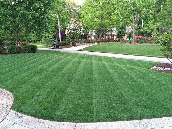 View from the front door