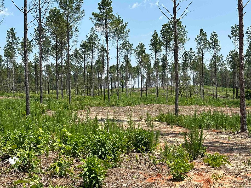2nd image of 0 Grant 43 E