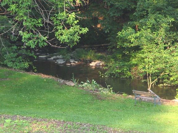Backyard facing Black Creek 