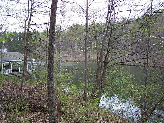 4th image of Lot 1 Bluebill Dr