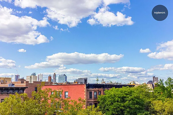 Sold by Triplemint | media 19