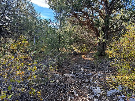 3rd image of 9 Peterson Rd
