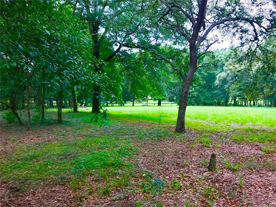 2nd image of Corto Way
