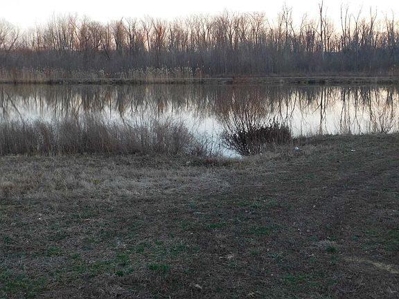 5th image of 376 Mallard Cir