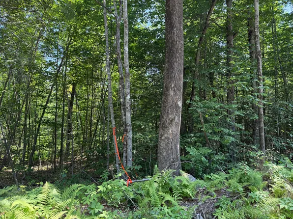 R2 L8-3 Ladd Road, Mercer, ME 04347
