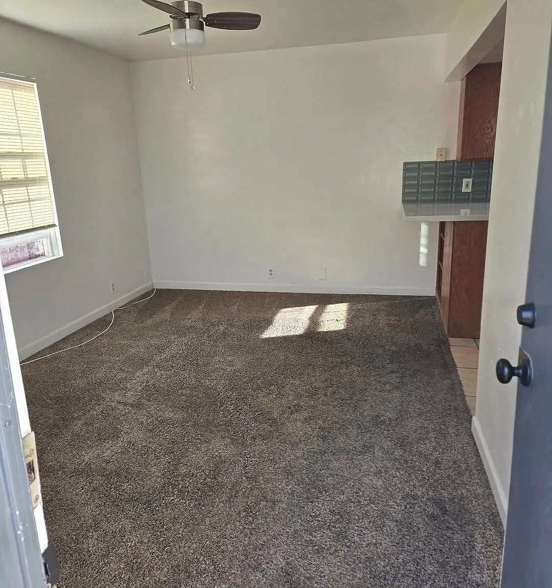 1 bed, 800 sqft, $1,199 — Photo 4