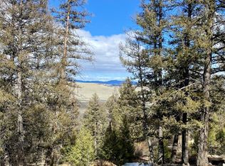 406 Middle Fork Vis, Fairplay, CO 80440